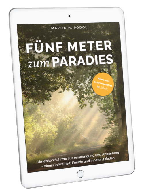 Cover von Fünf Meter zum Paradies