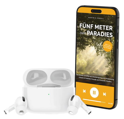 Cover von Fünf Meter zum Paradies